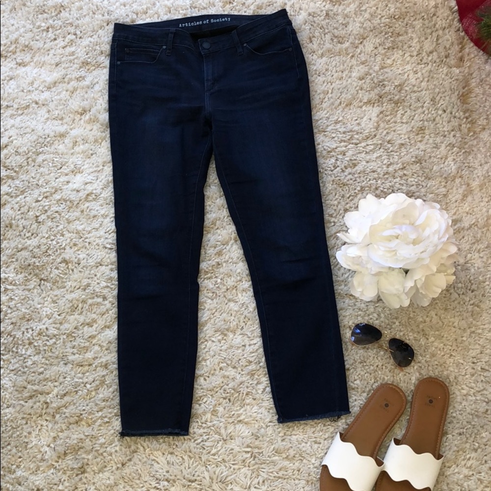 LIKE NEW Stretchy Skinny Ankle Jeans - size 29
